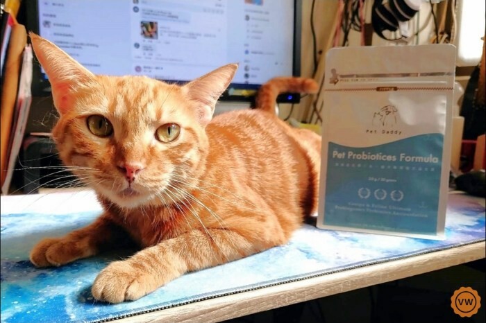 南投民宿│清境景觀民宿推薦:駿亦景觀民宿