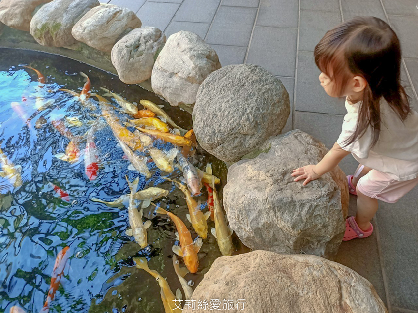 新北景點》免費玩淡水兩天一夜行程含0元住宿 淡水漁人碼頭仲夏繽紛樂 粉紅旋轉木馬 積木共和國 親子同遊 - 艾莉絲愛旅行