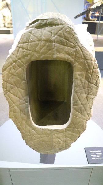 恐龍實驗室－復活任務：【台北展覽】讓我們一起到恐龍實驗室探險去@士林科教館[文末抽獎]