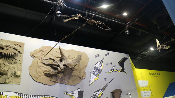 恐龍實驗室－復活任務：【台北展覽】讓我們一起到恐龍實驗室探險去@士林科教館[文末抽獎]