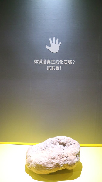 恐龍實驗室－復活任務：【台北展覽】讓我們一起到恐龍實驗室探險去@士林科教館[文末抽獎]