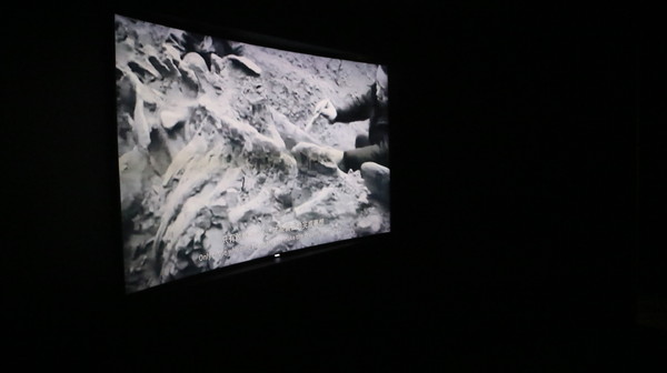 恐龍實驗室－復活任務：【台北展覽】讓我們一起到恐龍實驗室探險去@士林科教館[文末抽獎]