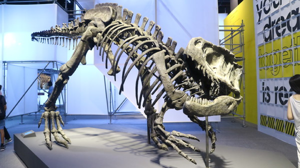 恐龍實驗室－復活任務：【台北展覽】讓我們一起到恐龍實驗室探險去@士林科教館[文末抽獎]