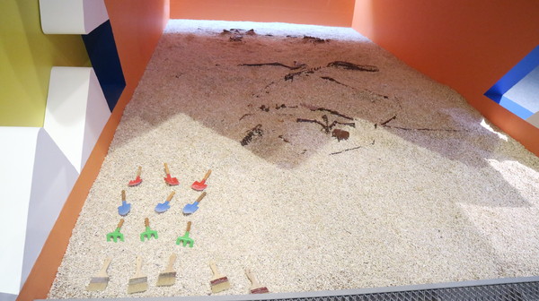 恐龍實驗室－復活任務：【台北展覽】讓我們一起到恐龍實驗室探險去@士林科教館[文末抽獎]