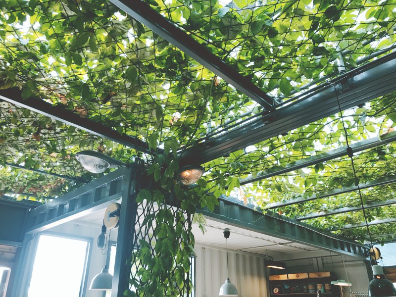 北海岸三芝 - 超美的秘境咖啡廳！papa在三芝 - Momoco。毛毛摳