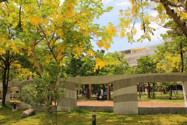 立德公園：【台南北區景點】立德公園~社區公園也能遇見滿滿黃金阿勃勒