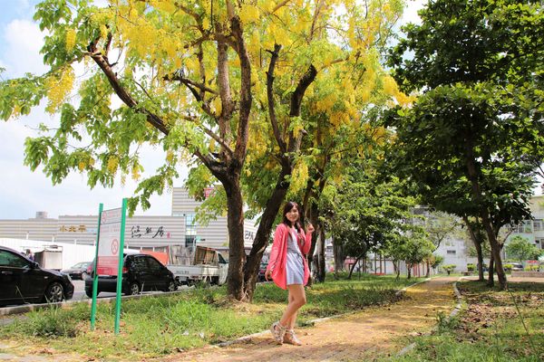 立德公園：【台南北區景點】立德公園~社區公園也能遇見滿滿黃金阿勃勒