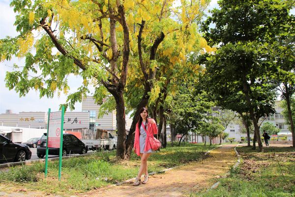 立德公園：【台南北區景點】立德公園~社區公園也能遇見滿滿黃金阿勃勒