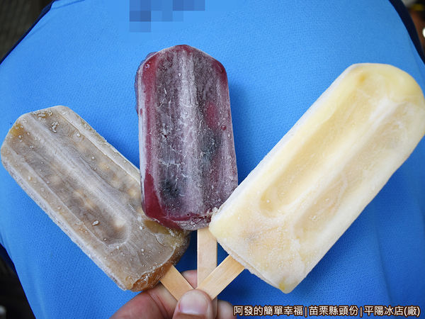 平陽冰店13-傳統枝仔冰.JPG