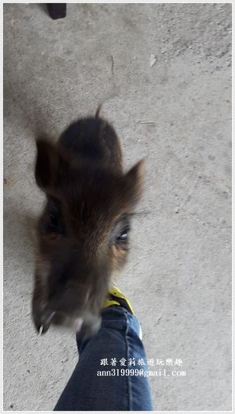 19458206_1471343176220231_1944095695_n