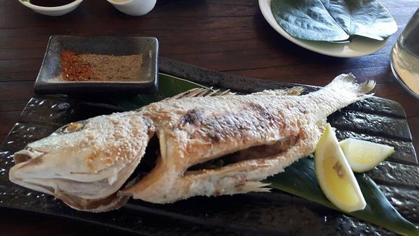 19691405_1480324225322126_905734819_n