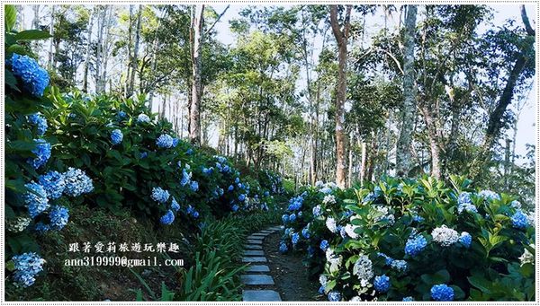 19758064_1479292532091962_1516732752_n