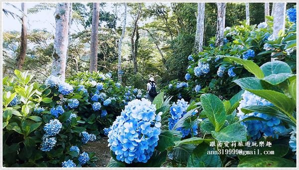 19691383_1479292902091925_1902464622_n