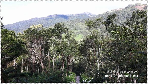 19755949_1479295065425042_500777714_n