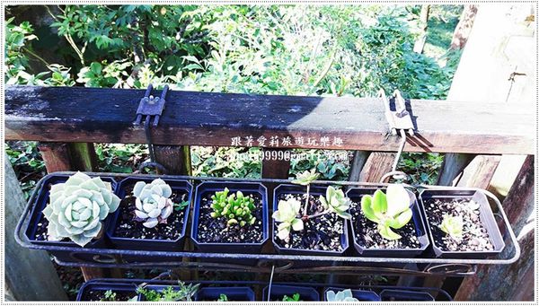 19755946_1479293962091819_261436763_n