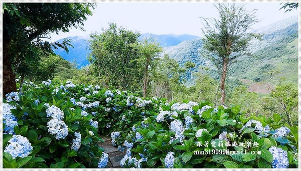 19679598_1479297985424750_470958358_n