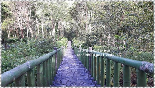 19622666_1479293588758523_1305182378_n