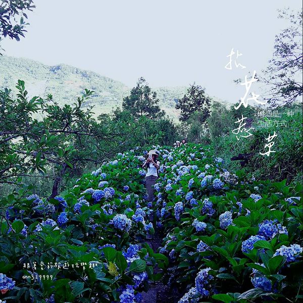 19755914_1479293502091865_1745702567_n