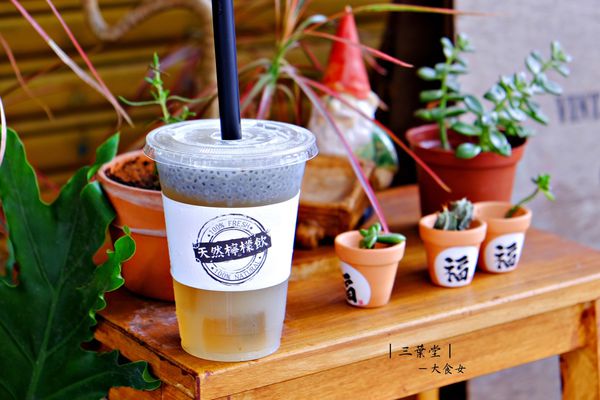 中山站美食飲品-三葉堂檸檬生活概念店