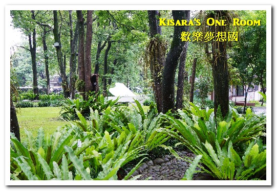 歡樂夢想國：桃園旅遊美食．前往浪漫幸福童話園區盡情享用健康蔬食──歡樂夢想國．上（園區）