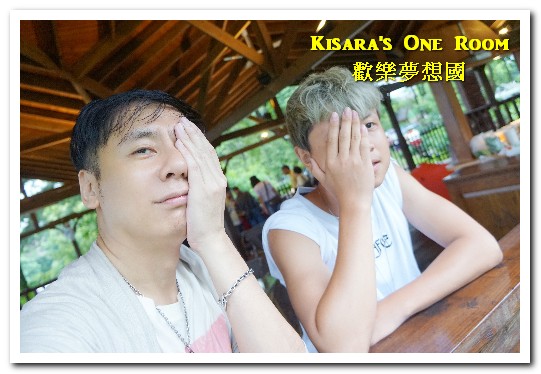 歡樂夢想國：桃園旅遊美食．前往浪漫幸福童話園區盡情享用健康蔬食──歡樂夢想國．上（園區）