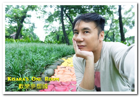 歡樂夢想國：桃園旅遊美食．前往浪漫幸福童話園區盡情享用健康蔬食──歡樂夢想國．上（園區）