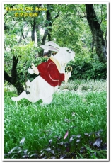 歡樂夢想國：桃園旅遊美食．前往浪漫幸福童話園區盡情享用健康蔬食──歡樂夢想國．上（園區）