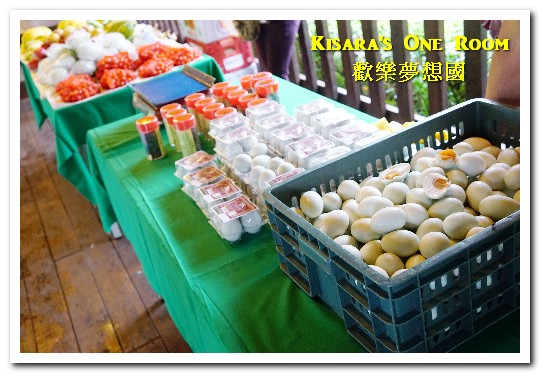 歡樂夢想國：桃園旅遊美食．前往浪漫幸福童話園區盡情享用健康蔬食──歡樂夢想國．上（園區）