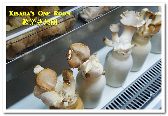 歡樂夢想國:桃園旅遊美食.前往浪漫幸福童話園區盡情享用健康蔬食──歡樂夢想國.下(百食絵蔬食餐廳)