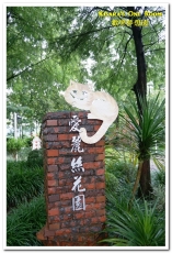 歡樂夢想國：桃園旅遊美食．前往浪漫幸福童話園區盡情享用健康蔬食──歡樂夢想國．上（園區）