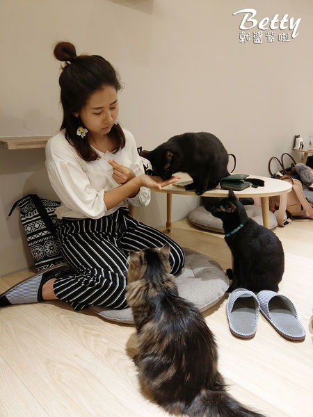 20180519板橋貓欸 (29).jpg