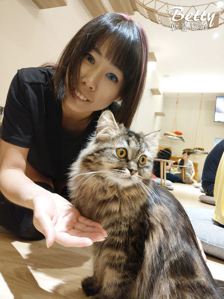 20180519板橋貓欸 (25).jpg