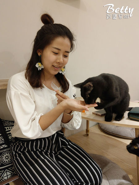 20180519板橋貓欸 (28).jpg