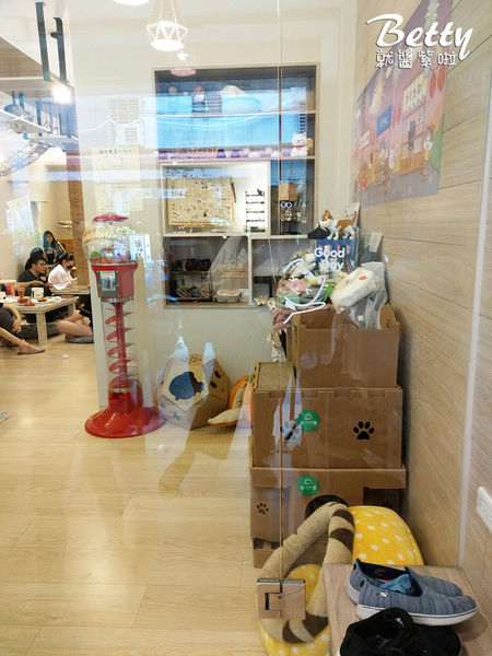 20180519板橋貓欸 (6).jpg