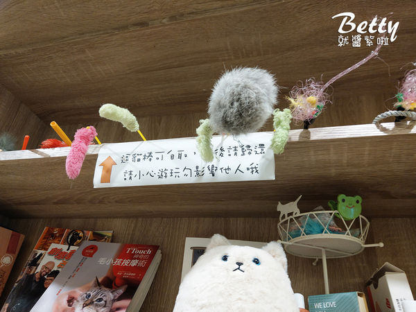 20180519板橋貓欸 (81).jpg