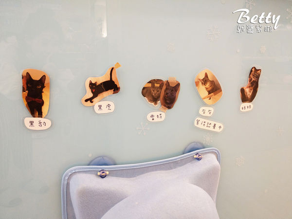 20180519板橋貓欸 (38).jpg