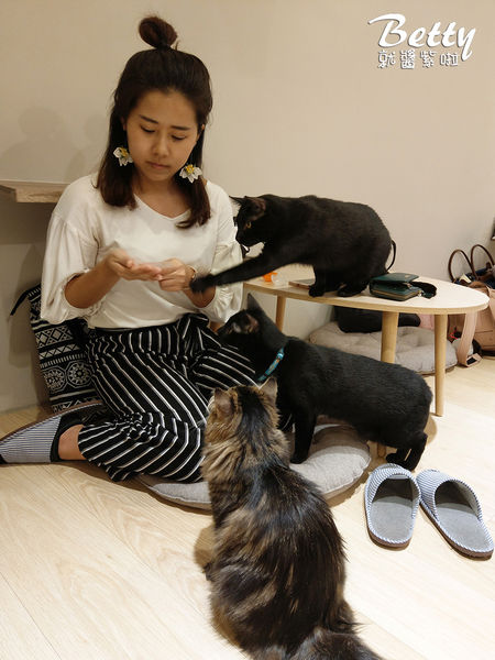 20180519板橋貓欸 (30).jpg