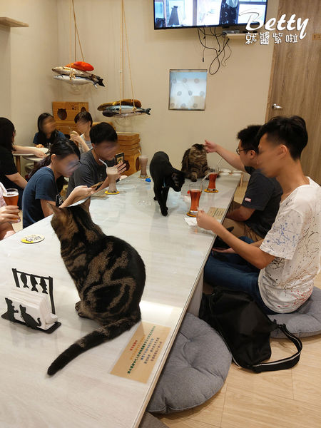 20180519板橋貓欸 (48).jpg
