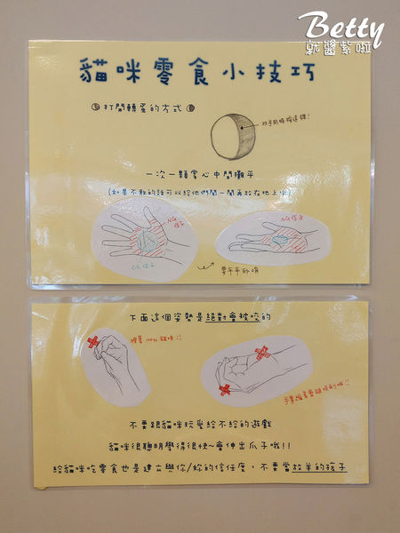 20180519板橋貓欸 (46).jpg