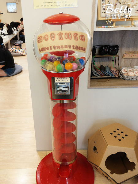 20180519板橋貓欸 (45).jpg