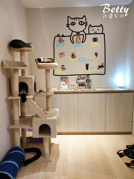 20180519板橋貓欸 (50).jpg