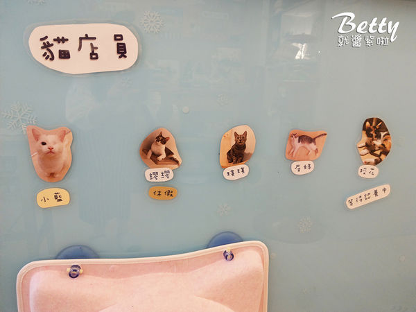 20180519板橋貓欸 (37).jpg