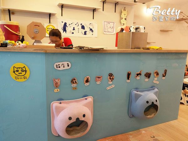 20180519板橋貓欸 (36).jpg