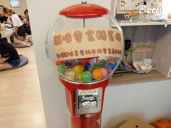 20180519板橋貓欸 (44).jpg