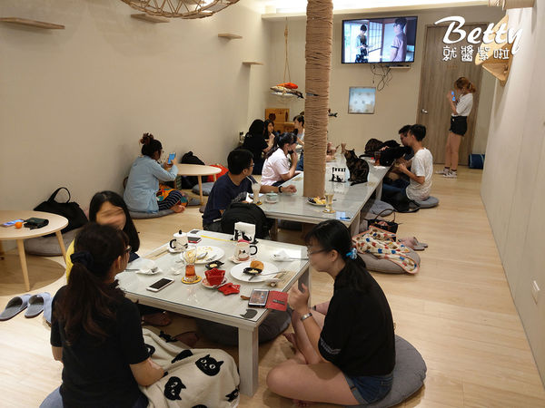 20180519板橋貓欸 (47).jpg