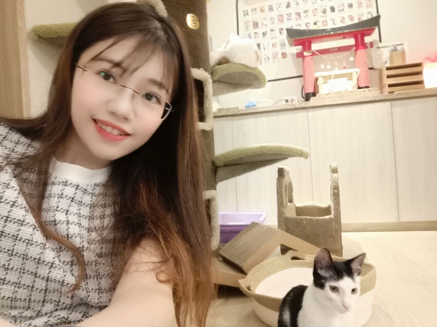 板橋新埔站【貓欸Camulet】主題餐廳推薦-貓迷們請尖叫X