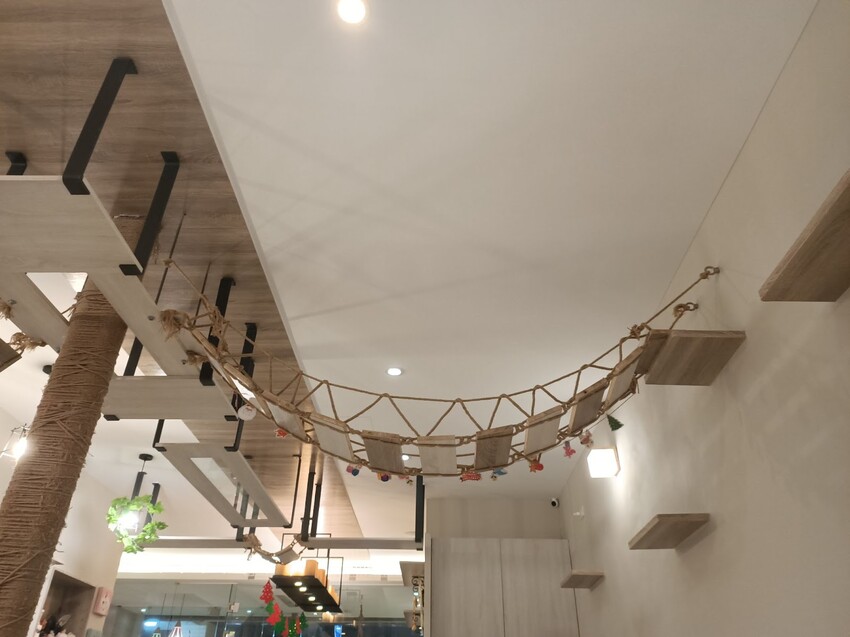 板橋新埔站【貓欸Camulet】主題餐廳推薦-貓迷們請尖叫X