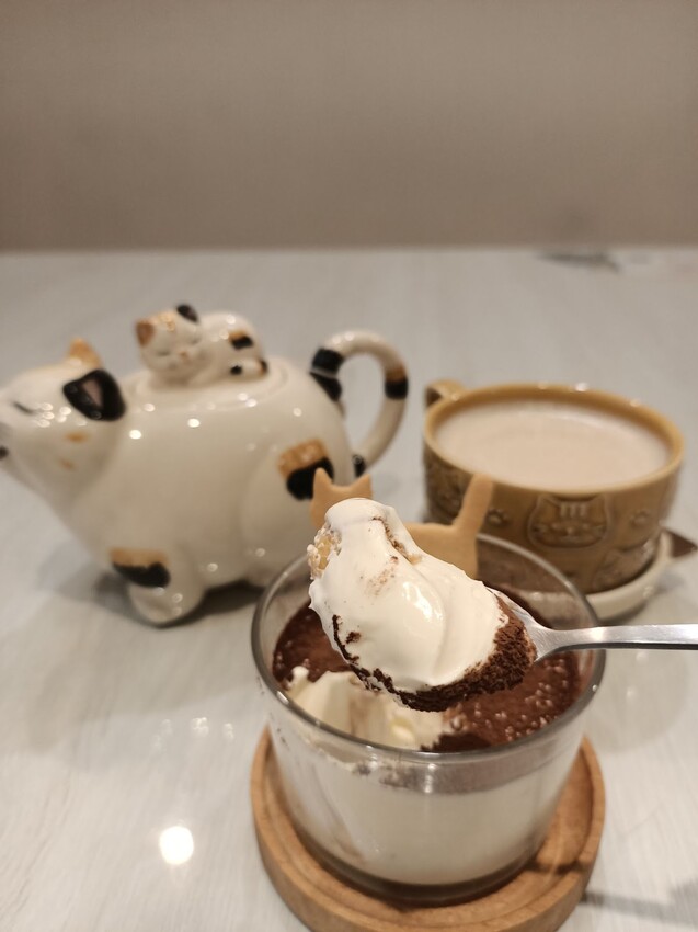 板橋新埔站【貓欸Camulet】主題餐廳推薦-貓迷們請尖叫X