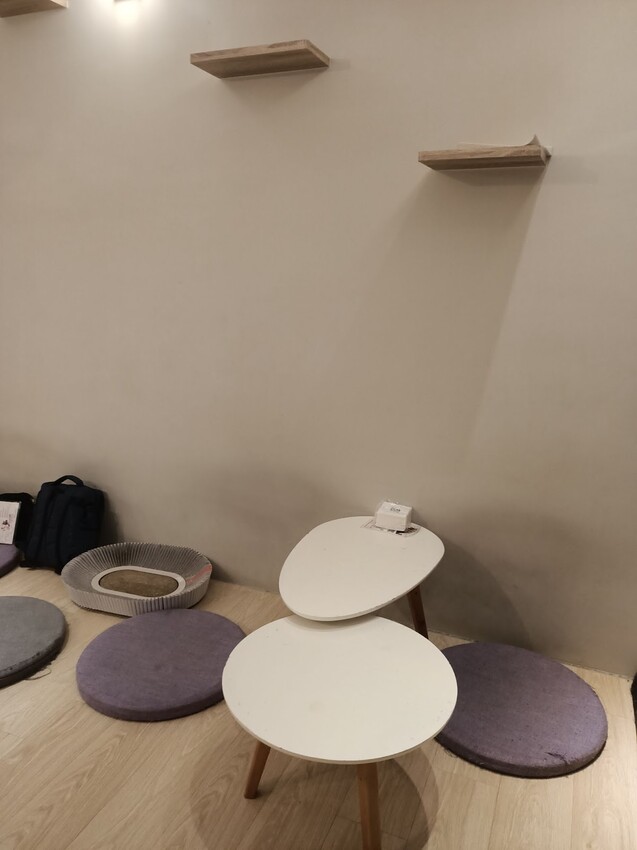 板橋新埔站【貓欸Camulet】主題餐廳推薦-貓迷們請尖叫X