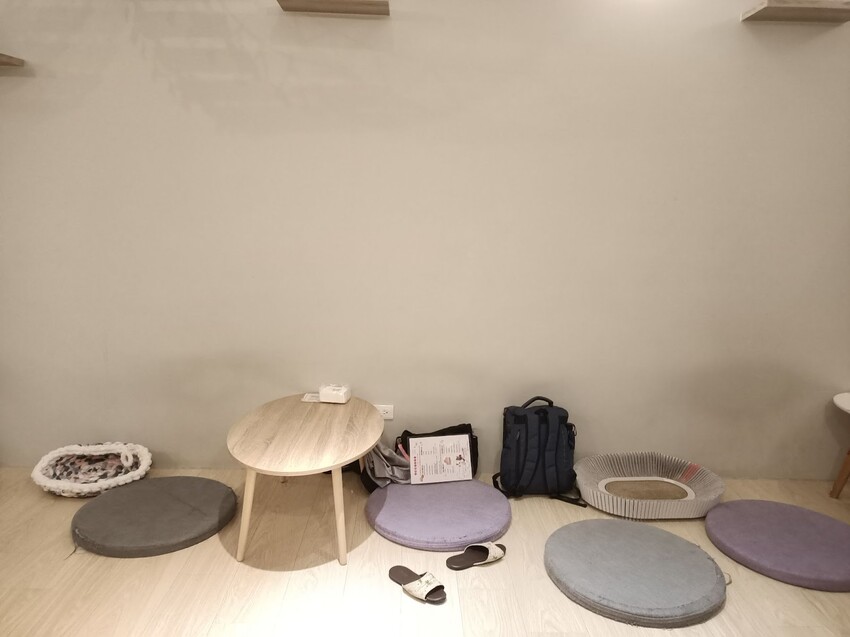 板橋新埔站【貓欸Camulet】主題餐廳推薦-貓迷們請尖叫X